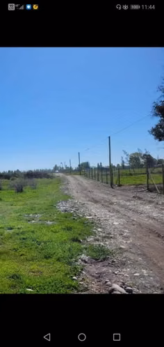 Parcela de Media hectárea, en Sector Santa Teresa