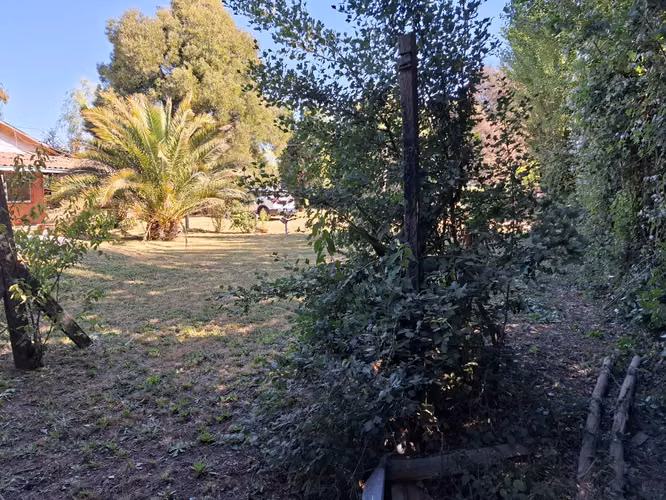 Dos Casas en Parcela de 2 Hectáreas y Media, La Tercera