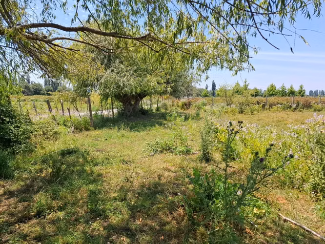 Parcela de 1,9 Hectáreas, en sector Las Rozas, Longavi