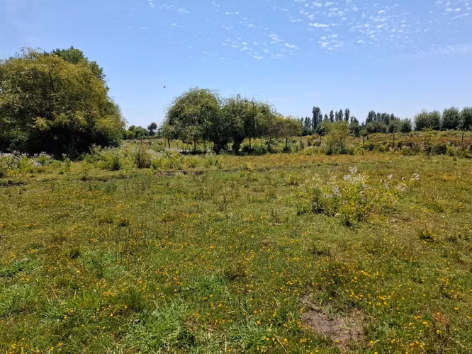 Parcela de 1,9 Hectáreas, en sector Las Rozas, Longavi