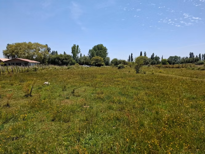 Parcela de 1,9 Hectáreas, en sector Las Rozas, Longavi