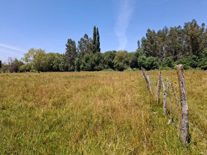 Parcela de 1,9 Hectáreas, en sector Las Rozas, Longavi