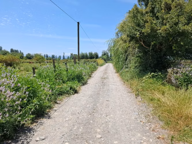 Parcela de 1,9 Hectáreas, en sector Las Rozas, Longavi
