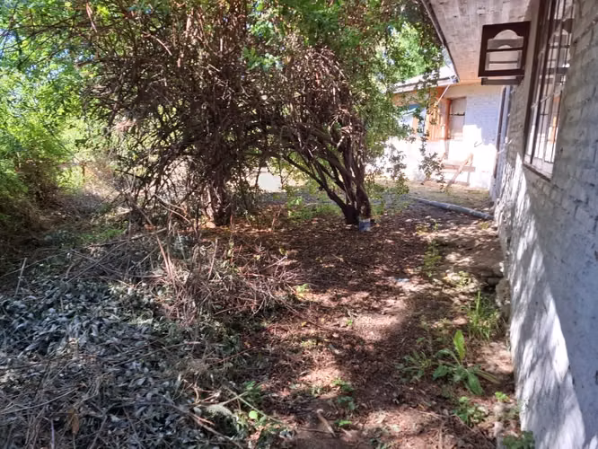 Casa y Parcela de 1 Hectárea en sector San Antonio Encina