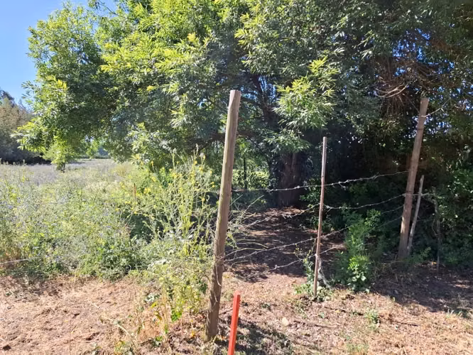 Casa y Parcela de 1 Hectárea en sector San Antonio Encina