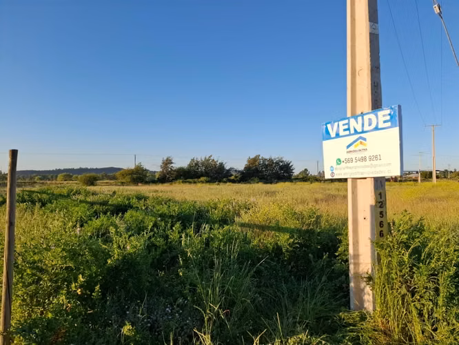 Parcela Media Hectárea, en Loteo Bellavista Sector Guadantum