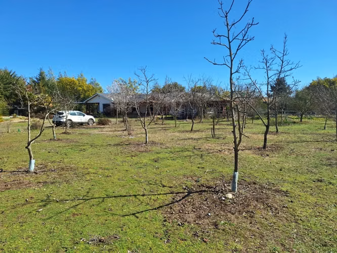 Casa y Parcela de Media Hectárea, Loteo El Molino