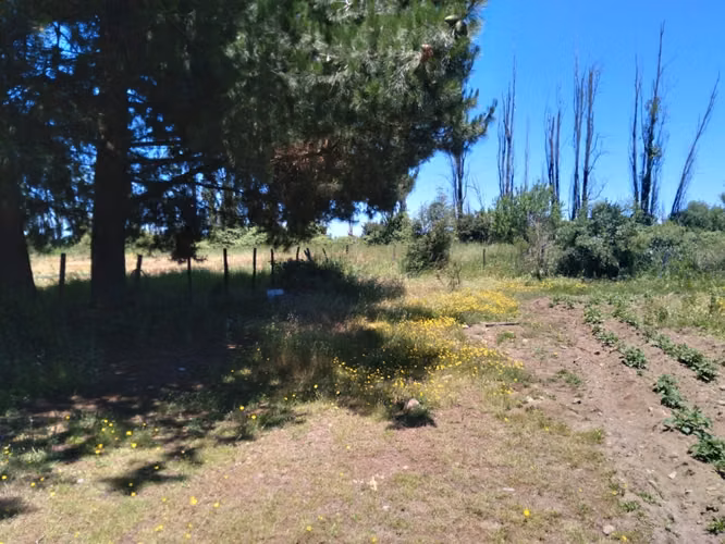 Casa en Parcela de 2.500.- Mts2, La Sexta de Longavi
