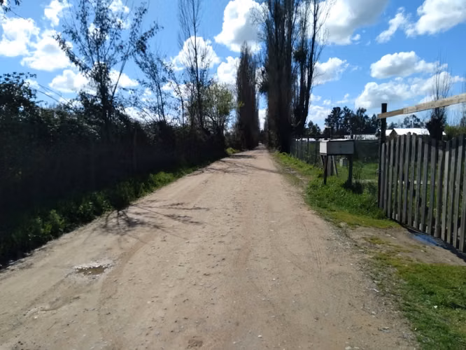 Parcela de Media Hectárea, Cerrillos comuna de Longavi - Imagen 9
