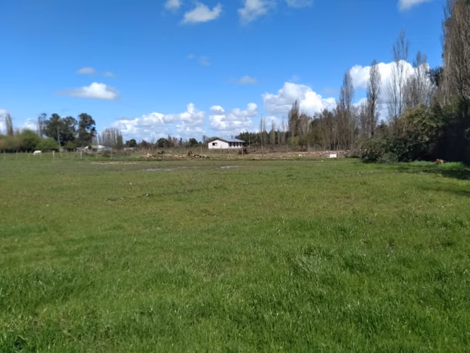 Parcela de Media Hectárea, Cerrillos comuna de Longavi - Imagen 7