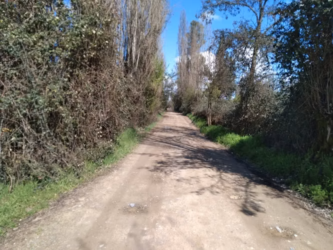 Parcela de Media Hectárea, Cerrillos comuna de Longavi - Imagen 8