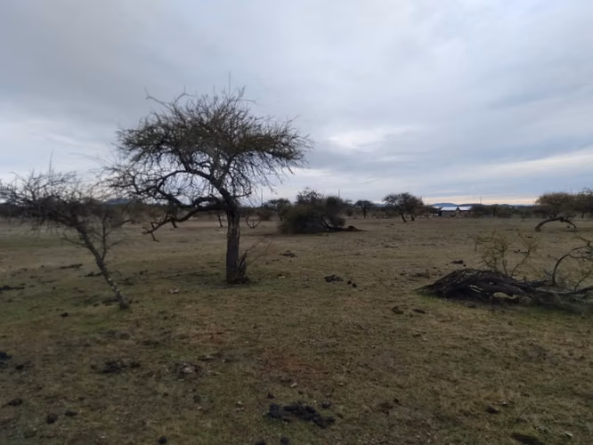 Dos Parcelas en Sector Purapel, Carretera los Conquistadores - Imagen 6