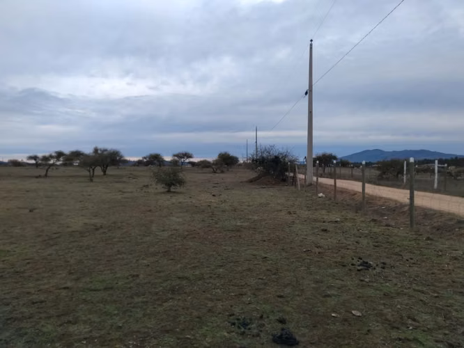 Dos Parcelas en Sector Purapel, Carretera los Conquistadores - Imagen 5