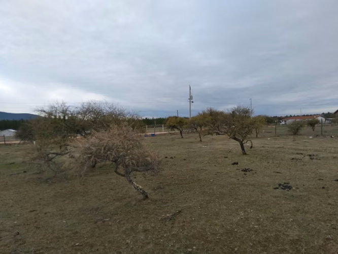 Dos Parcelas en Sector Purapel, Carretera los Conquistadores - Imagen 9