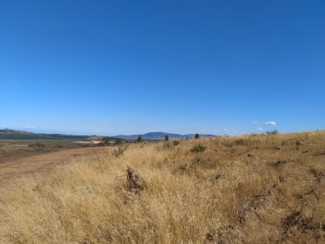 Parcela de 31 Hectàreas en Chimàvida, a 15 Kms de Cauquenes