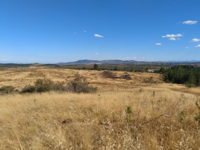 Parcela de 31 Hectàreas en Chimàvida, a 15 Kms de Cauquenes