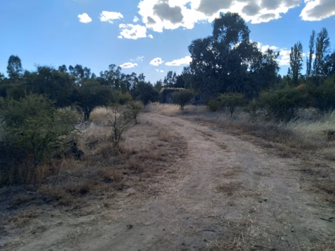 Parcela de 31 Hectàreas en Chimàvida, a 15 Kms de Cauquenes