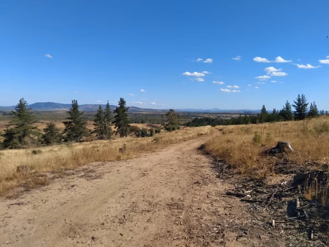 Parcela de 31 Hectàreas en Chimàvida, a 15 Kms de Cauquenes