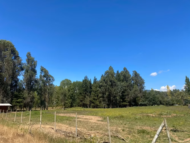 Parcela de Media Hectàrea, Sector Paso Rari - Imagen 3