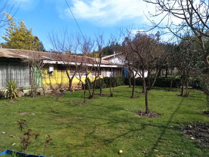 Parcela de Siete Hectáreas, Sector El Tránsito Los Copihues