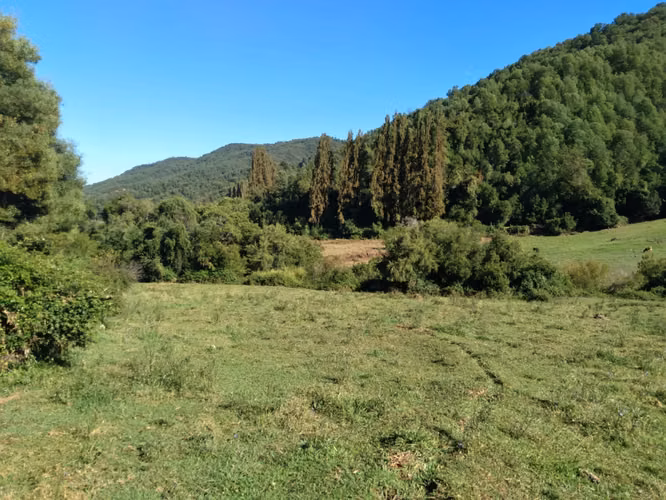 Fundo de 508 Hectàreas app, en Alto Pejerrey