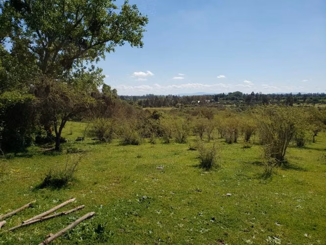 Parcela de 63 Hectàr, sector Bazaes a orilla carretera L-11