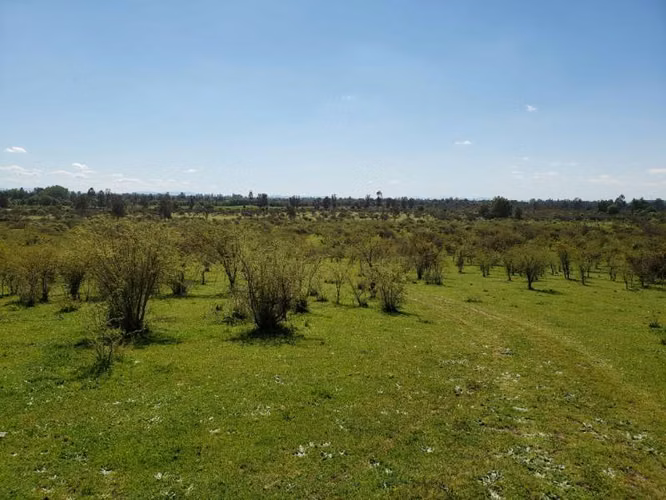 Parcela de 63 Hectàr, sector Bazaes a orilla carretera L-11