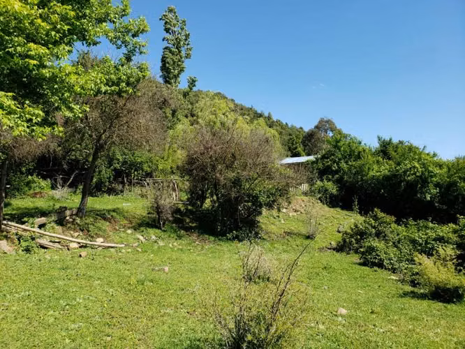 Parcela de 63 Hectàr, sector Bazaes a orilla carretera L-11
