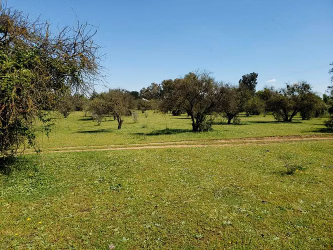 Parcela de 63 Hectàr, sector Bazaes a orilla carretera L-11