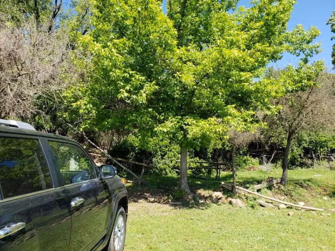 Parcela de 63 Hectàr, sector Bazaes a orilla carretera L-11