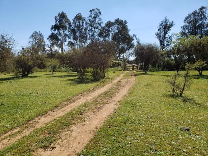 Parcela de 63 Hectàr, sector Bazaes a orilla carretera L-11