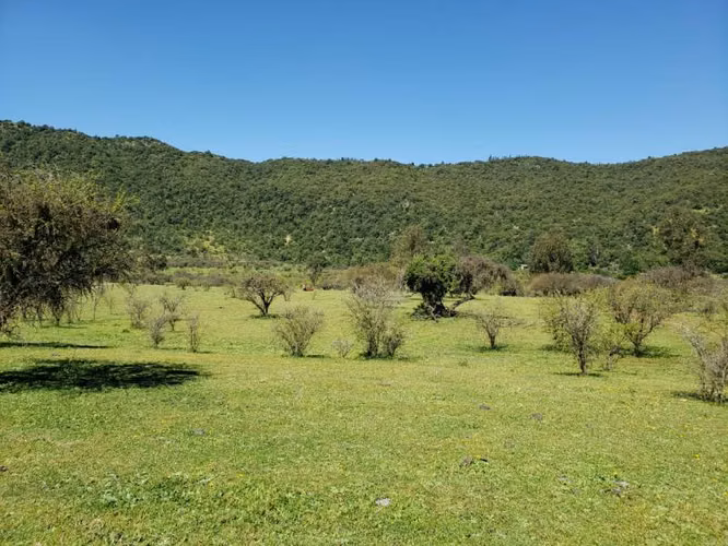 Parcela de 63 Hectàr, sector Bazaes a orilla carretera L-11