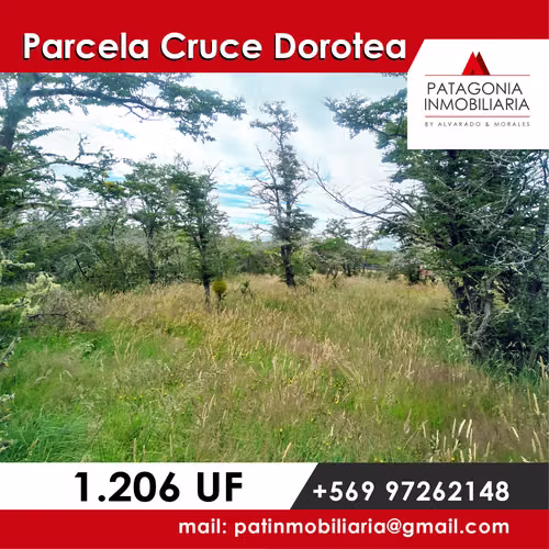 PARCELA CRUCE DOROTEA NATALES