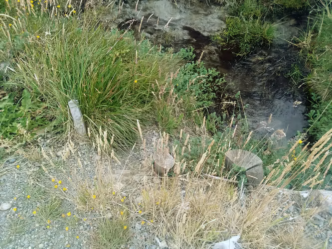 PARCELA CRUCE DOROTEA NATALES