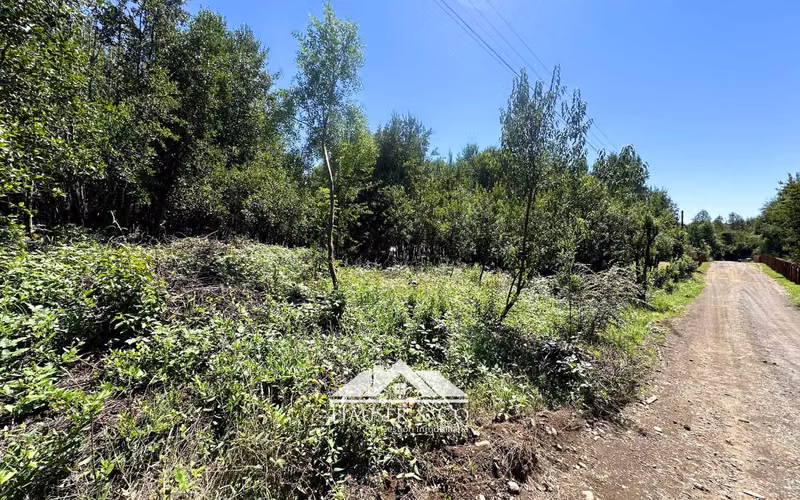 Parcela en venta segunda faja sector Molco Alto Pucon