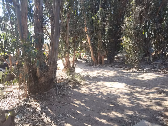 Terreno Magdalena Fernández 2475, 2442328 Quilpué, Valparaíso