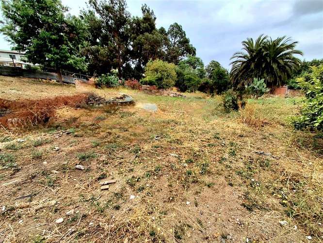 Sitio en venta en Quilpué - Imagen 3
