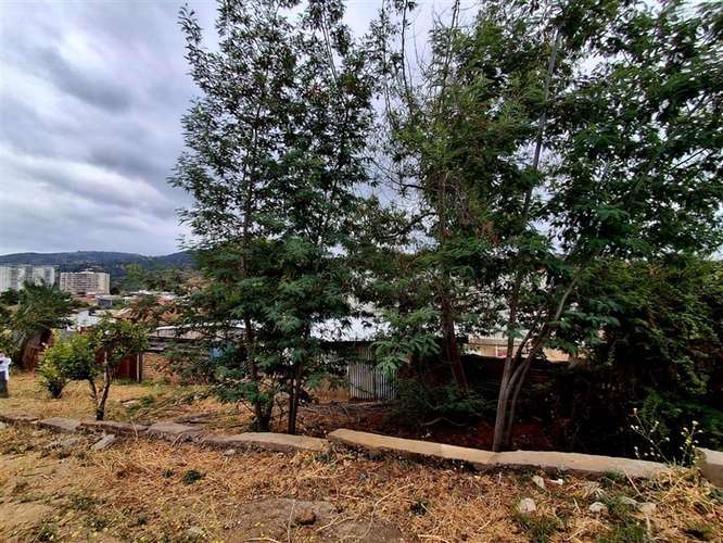 Sitio en venta en Quilpué - Imagen 5