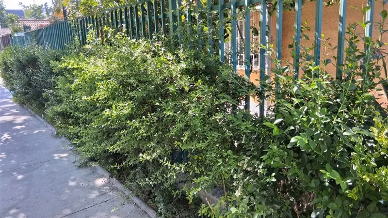Casa en venta de 5 dorm. en Puente Alto