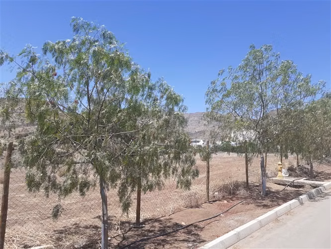 Sitio APE venta Colina - Hacienda Chacabuco - usos regulados - Imagen 17