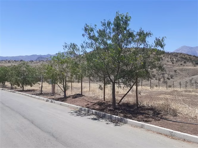 Sitio APE venta Colina - Hacienda Chacabuco - usos regulados - Imagen 14