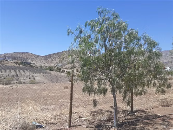 Sitio APE venta Colina - Hacienda Chacabuco - usos regulados - Imagen 21