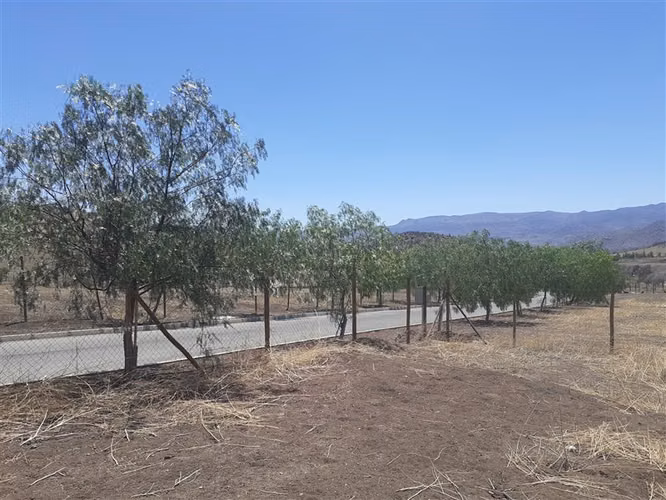 Parcela APE venta Colina-Hacienda Chacabuco - usos regulados