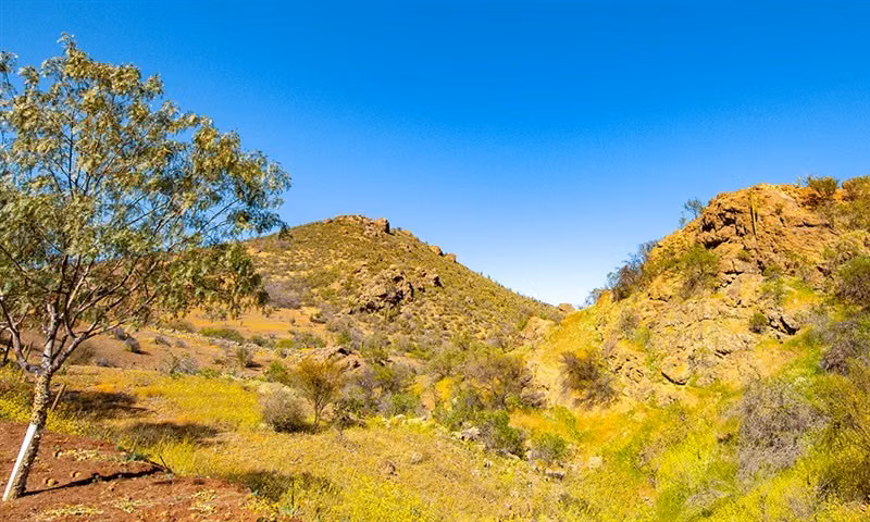 Parcela APE venta Colina-Hacienda Chacabuco - usos regulados