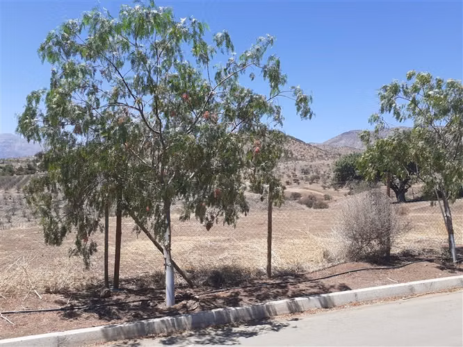 Parcela APE venta Colina-Hacienda Chacabuco - usos regulados
