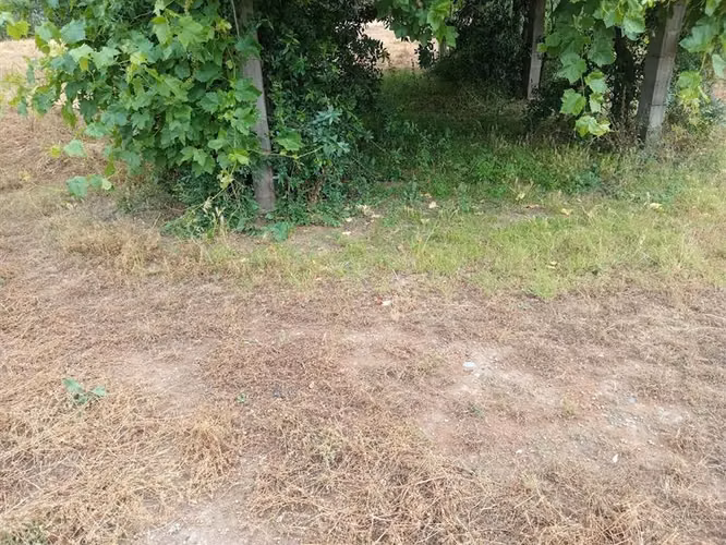 Parcela en venta en Isla de Maipo