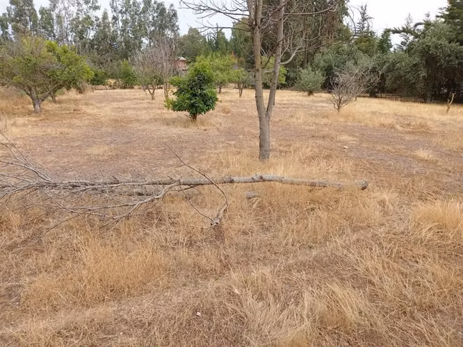 Parcela en venta en Isla de Maipo