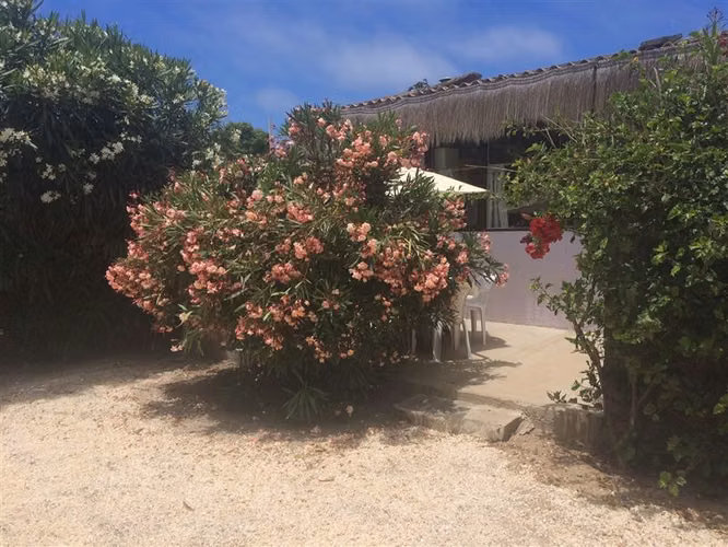Cabañas turísticas en Los Molles