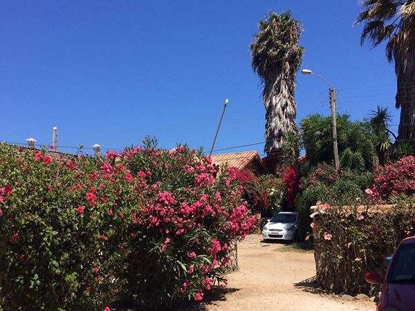 Cabañas turísticas en Los Molles - Imagen 3