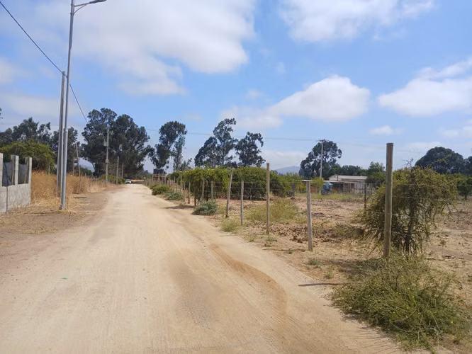 Se Vende Terreno plano de 5000 mt con rol a pasos de la Carretera.  Catapilco